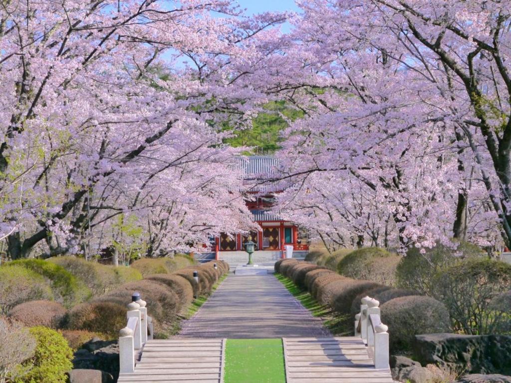 Tateshina Shinyu Onsen Hotel Chino Ngoại thất bức ảnh